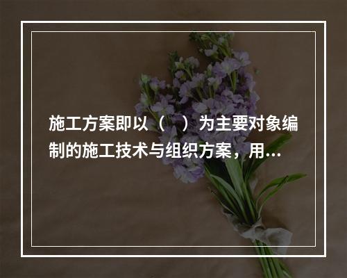 施工方案即以（　）为主要对象编制的施工技术与组织方案，用以具