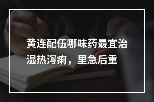 黄连配伍哪味药最宜治湿热泻痢，里急后重