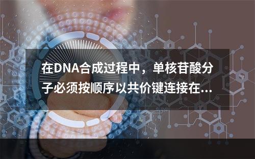 在DNA合成过程中，单核苷酸分子必须按顺序以共价键连接在（