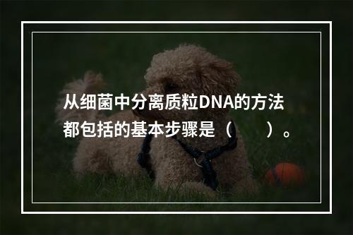 从细菌中分离质粒DNA的方法都包括的基本步骤是（　　）。