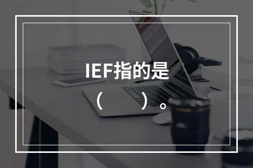 IEF指的是（　　）。