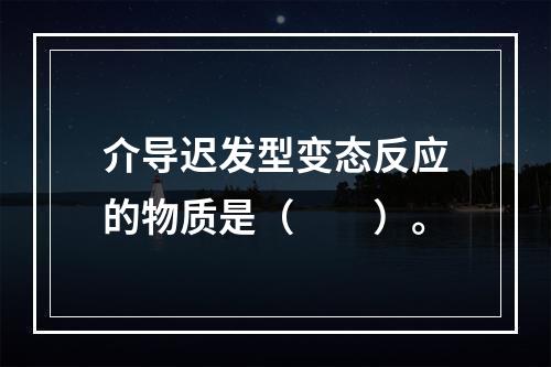 介导迟发型变态反应的物质是（　　）。