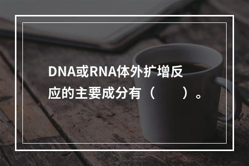 DNA或RNA体外扩增反应的主要成分有（　　）。