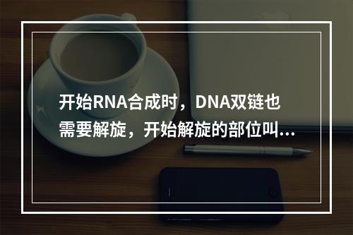 开始RNA合成时，DNA双链也需要解旋，开始解旋的部位叫作