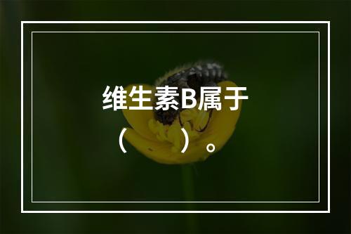 维生素B属于（　　）。