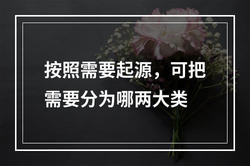 按照需要起源，可把需要分为哪两大类