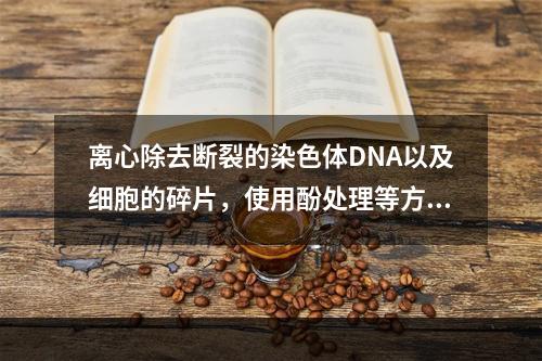 离心除去断裂的染色体DNA以及细胞的碎片，使用酚处理等方法