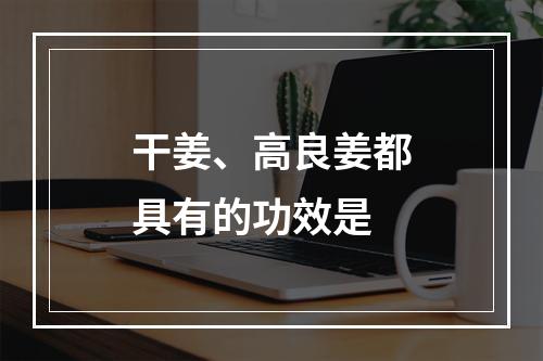 干姜、高良姜都具有的功效是