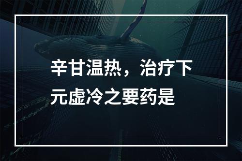 辛甘温热，治疗下元虚冷之要药是