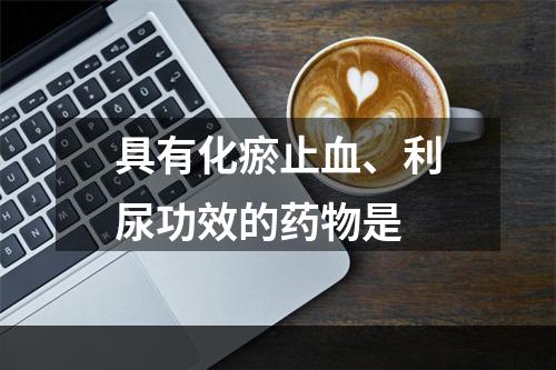 具有化瘀止血、利尿功效的药物是