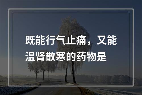 既能行气止痛，又能温肾散寒的药物是