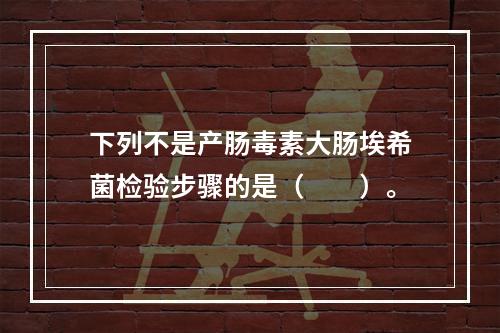 下列不是产肠毒素大肠埃希菌检验步骤的是（　　）。