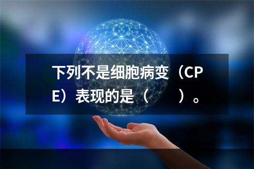 下列不是细胞病变（CPE）表现的是（　　）。