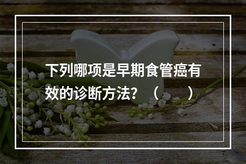 下列哪项是早期食管癌有效的诊断方法？（　　）