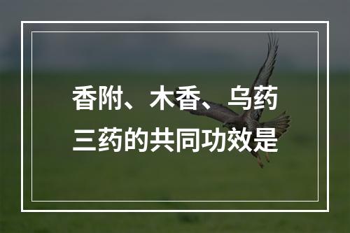 香附、木香、乌药三药的共同功效是