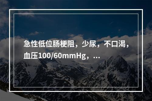 急性低位肠梗阻，少尿，不口渴，血压100/60mmHg，心率