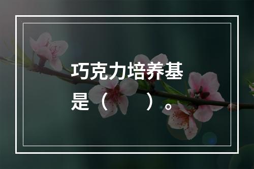 巧克力培养基是（　　）。