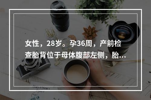 女性，28岁。孕36周，产前检查胎背位于母体腹部左侧，胎心位