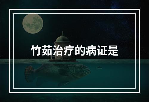 竹茹治疗的病证是