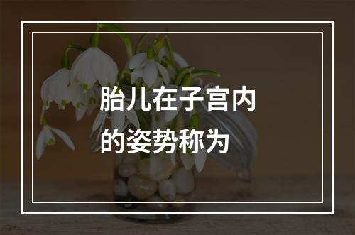 胎儿在子宫内的姿势称为