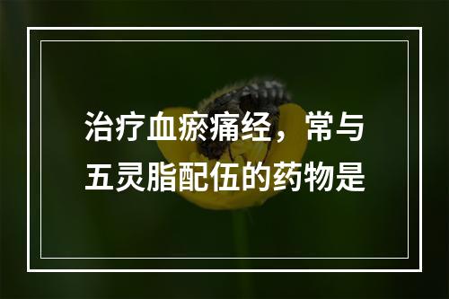 治疗血瘀痛经，常与五灵脂配伍的药物是