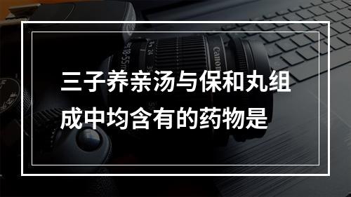 三子养亲汤与保和丸组成中均含有的药物是