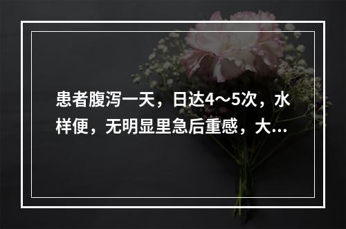 患者腹泻一天，日达4～5次，水样便，无明显里急后重感，大便