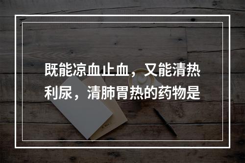 既能凉血止血，又能清热利尿，清肺胃热的药物是