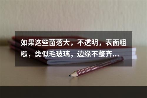 如果这些菌落大，不透明，表面粗糙，类似毛玻璃，边缘不整齐，可