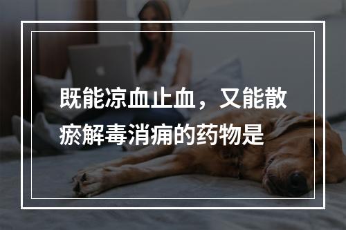 既能凉血止血，又能散瘀解毒消痈的药物是