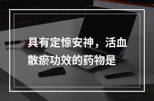 具有定惊安神，活血散瘀功效的药物是