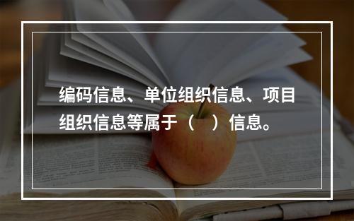 编码信息、单位组织信息、项目组织信息等属于（　）信息。