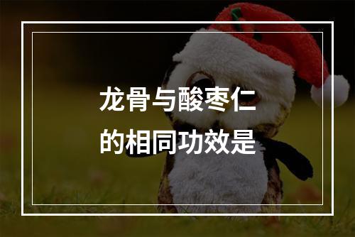 龙骨与酸枣仁的相同功效是