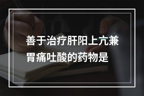 善于治疗肝阳上亢兼胃痛吐酸的药物是