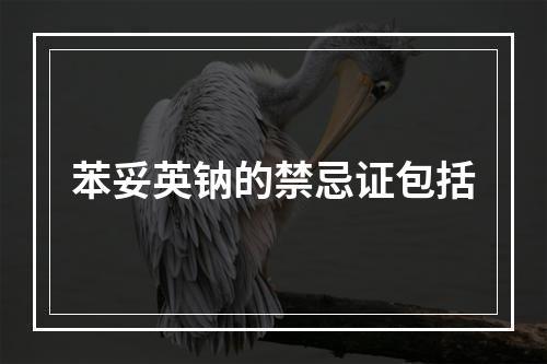 苯妥英钠的禁忌证包括