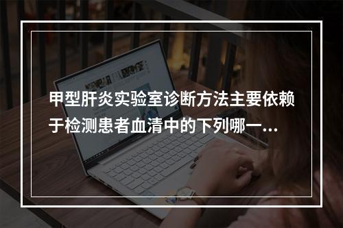 甲型肝炎实验室诊断方法主要依赖于检测患者血清中的下列哪一种