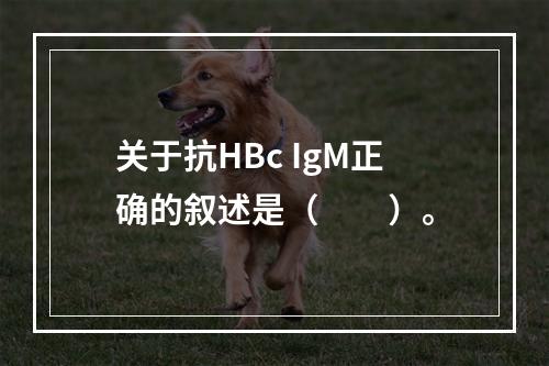 关于抗HBc IgM正确的叙述是（　　）。