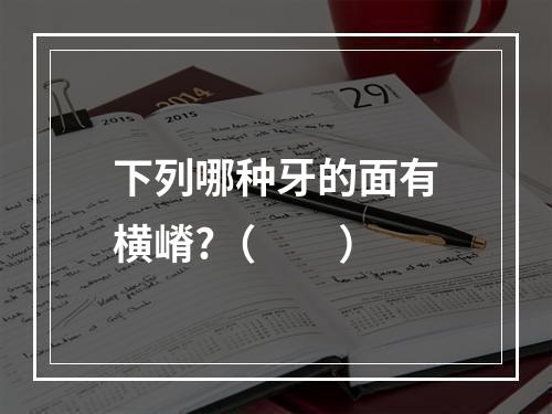 下列哪种牙的面有横嵴?（　　）