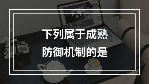 下列属于成熟防御机制的是