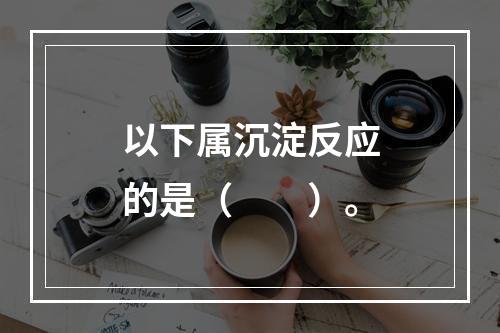 以下属沉淀反应的是（　　）。