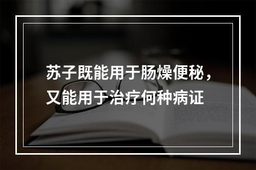 苏子既能用于肠燥便秘，又能用于治疗何种病证