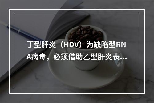 丁型肝炎（HDV）为缺陷型RNA病毒，必须借助乙型肝炎表面