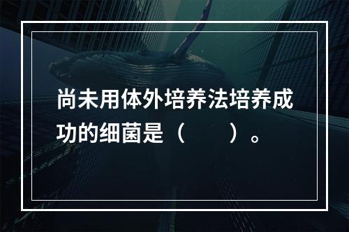 尚未用体外培养法培养成功的细菌是（　　）。