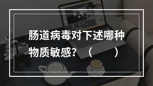 肠道病毒对下述哪种物质敏感？（　　）