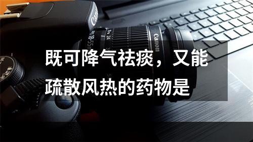 既可降气祛痰，又能疏散风热的药物是