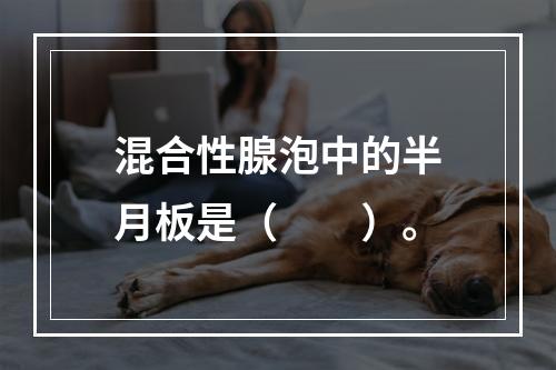 混合性腺泡中的半月板是（　　）。