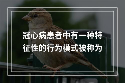 冠心病患者中有一种特征性的行为模式被称为