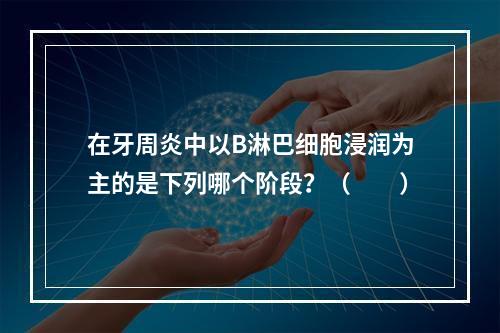 在牙周炎中以B淋巴细胞浸润为主的是下列哪个阶段？（　　）