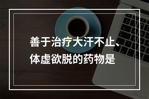 善于治疗大汗不止、体虚欲脱的药物是