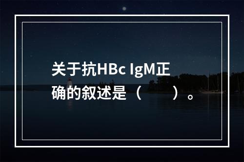 关于抗HBc IgM正确的叙述是（　　）。